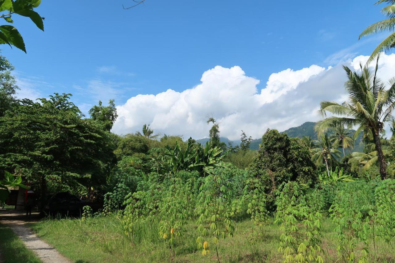 Villa Aditya Tejakula Esterno foto