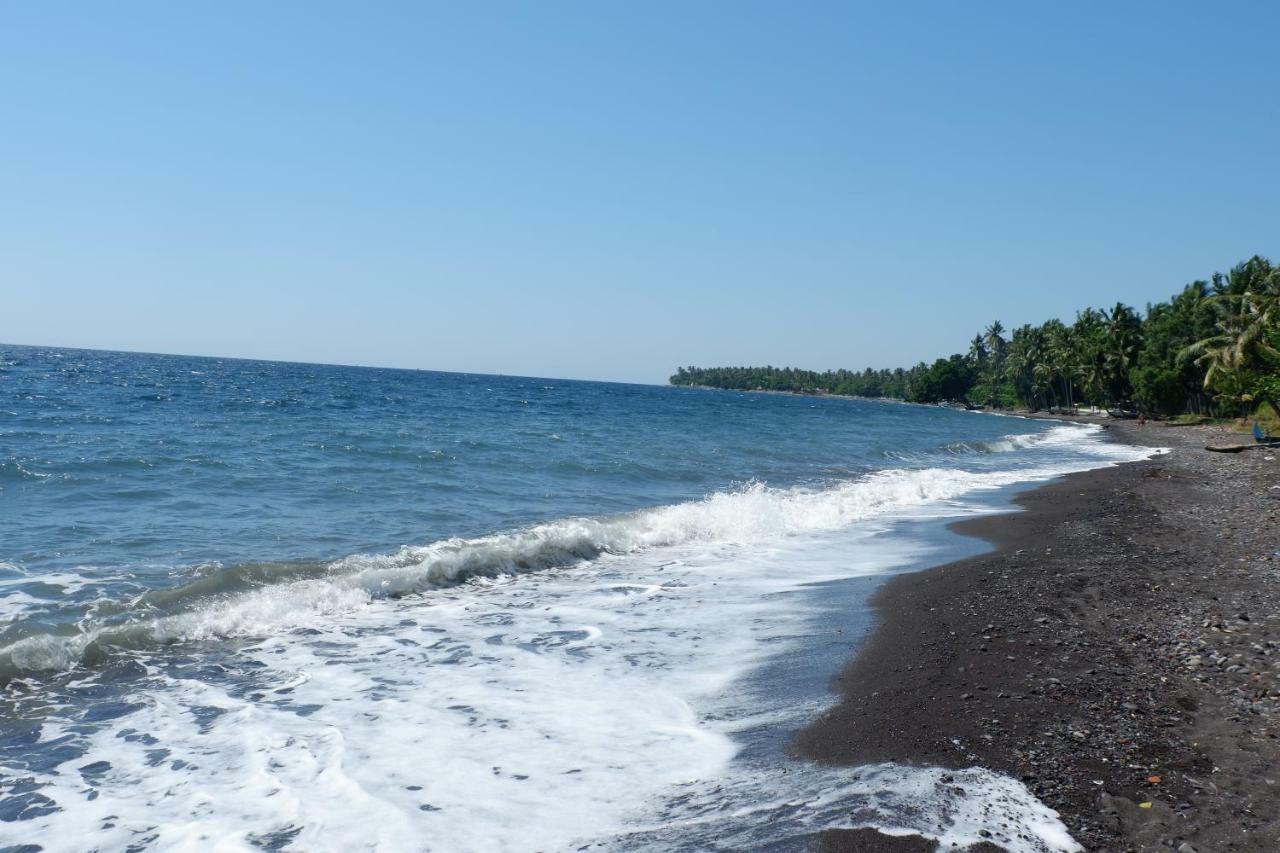 Villa Aditya Tejakula Esterno foto